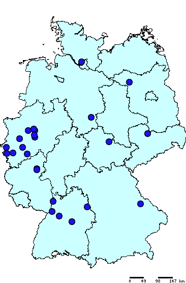 B:P1.7-2,4:F1-5 (blaue Kreise)